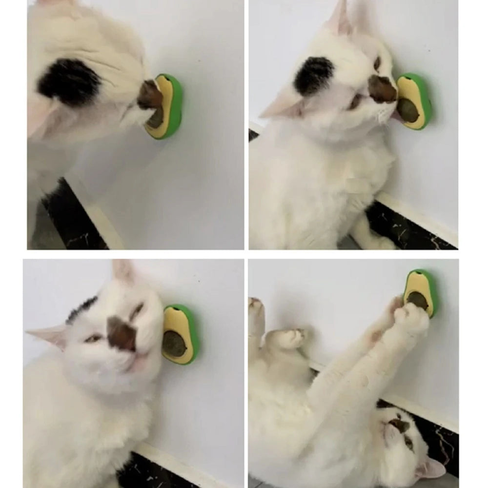 Natural Catnip Healthy Rotatable Wall Stick-on Ball Cats Teeth Cleaning Catnip Ball Toys cat Catnip Scratching Supplies