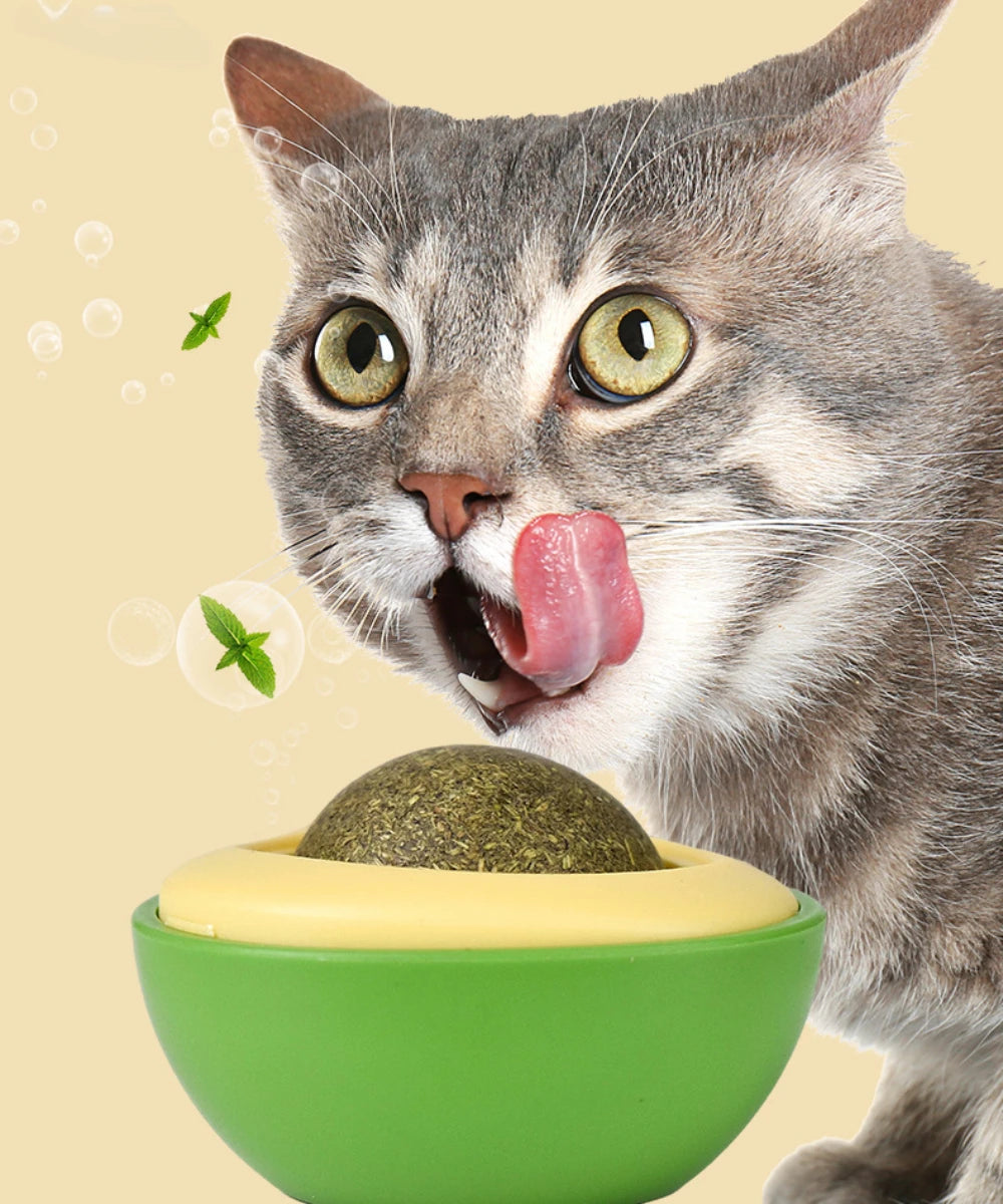 Natural Catnip Healthy Rotatable Wall Stick-on Ball Cats Teeth Cleaning Catnip Ball Toys cat Catnip Scratching Supplies